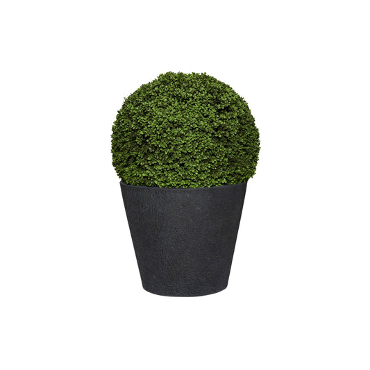 Саксия Bucket