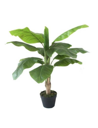 Бананово дръвче