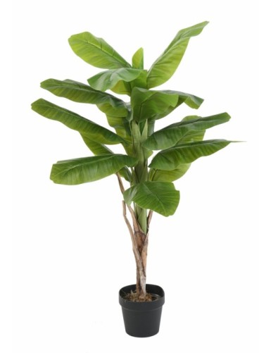 Бананово дръвче