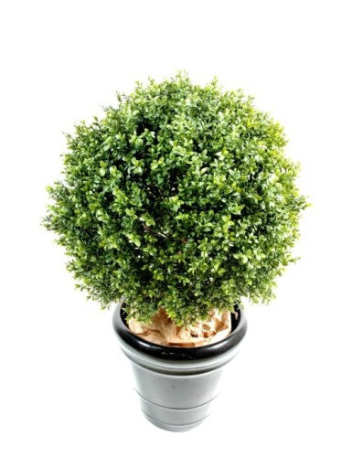 Чемшир топка