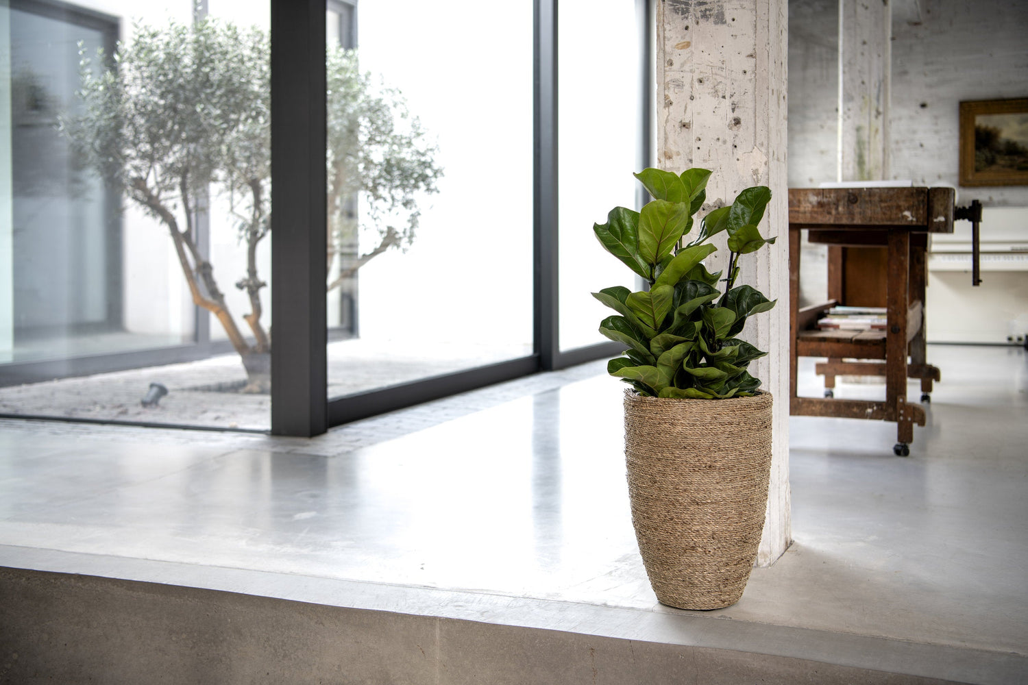 Колекция Bohemian