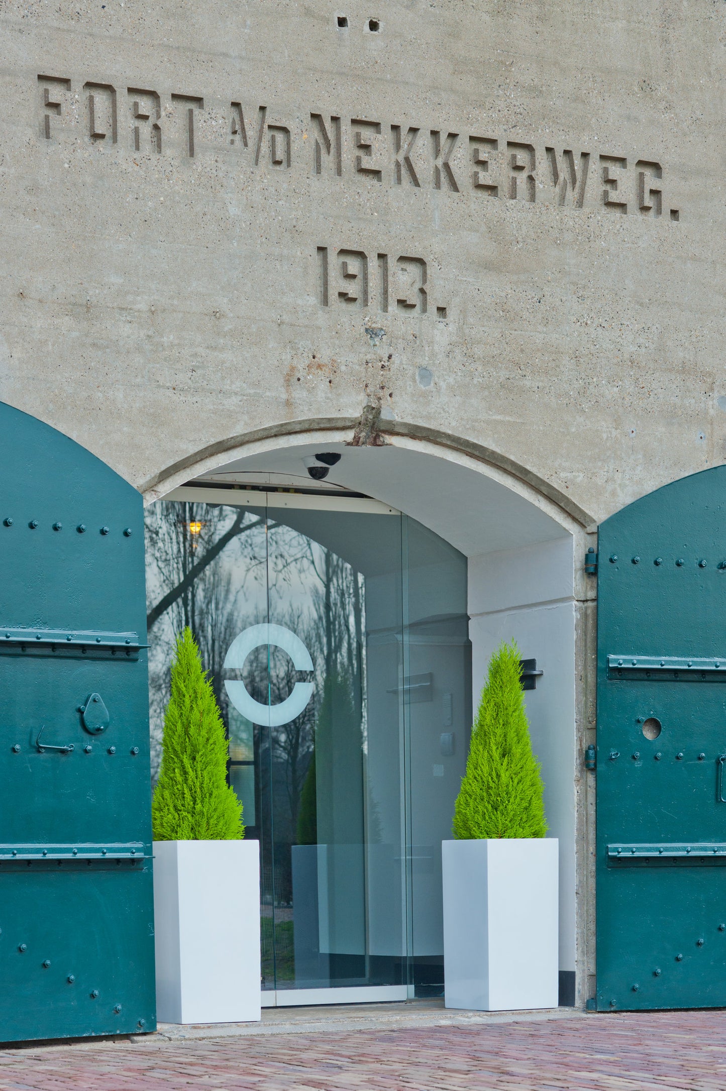 Саксия Bouvy
