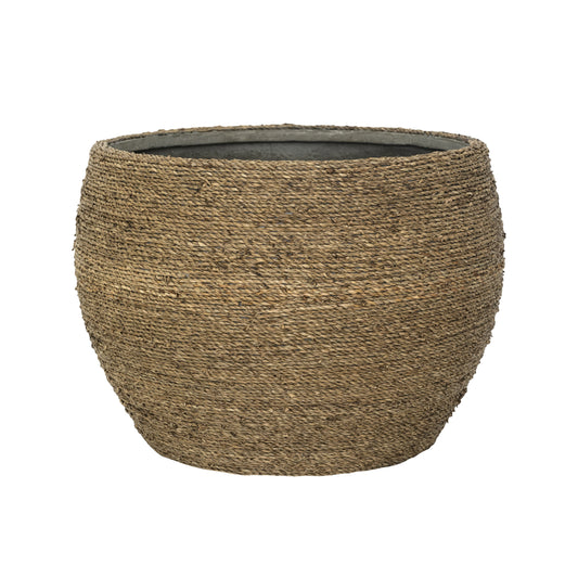 Саксия Abby Straw Grass