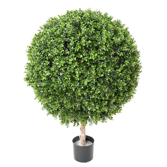 Чемшир топка